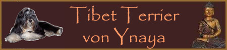 Banner zum mitnehmen "Tibet Terrier von Ynaya"